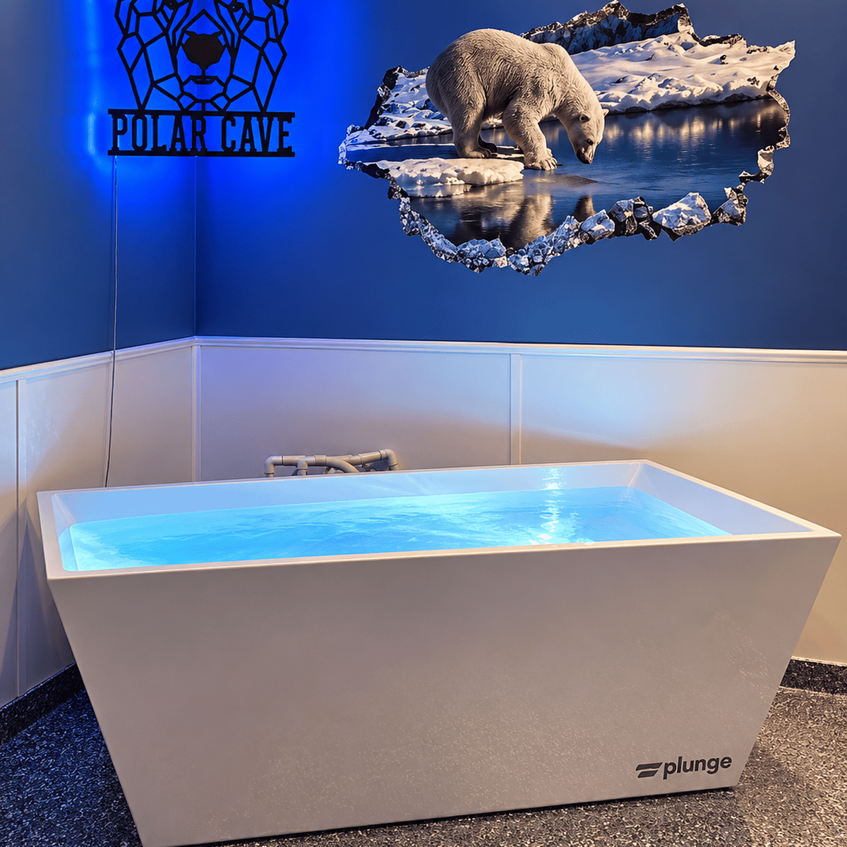 Cold Plunge